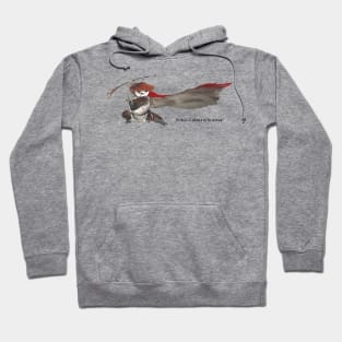 Justice is about to be Served! Hoodie